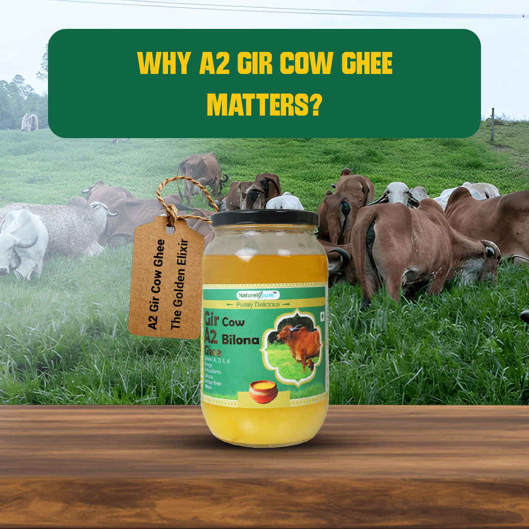 Why A2 Gir Cow Ghee Matters in today's lifestyle