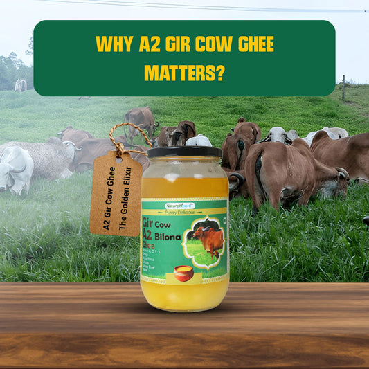 Why A2 Gir Cow Ghee Matters in today's lifestyle