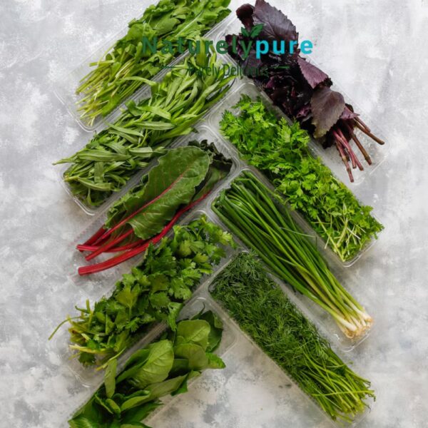 Hydroponic Herbs, Leafy Greens, and Vines: A Sustainable Farming Revolution
