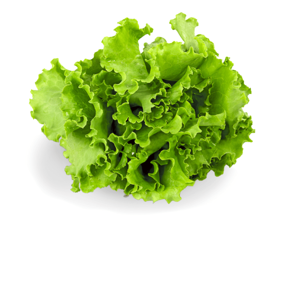 Green Lettuce-(100gm)