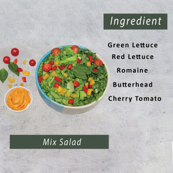 Second image of Mix Salad-(350gm)