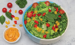 Mix Salad-(350gm)