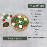 Paneer-salad-e1730715283402-800x800