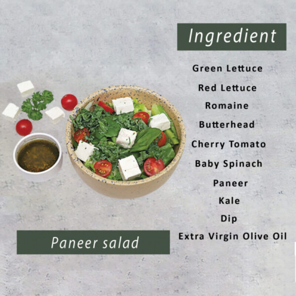 Second image of Paneer Salad-(350gm)