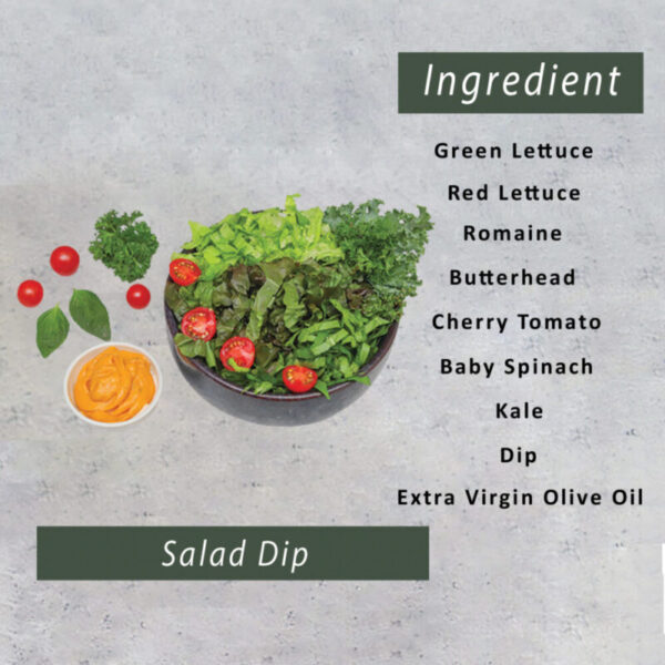 Second image of Salad Dips-(350gm)