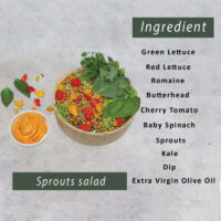Sprouts-salad-e1730714999979-800x800