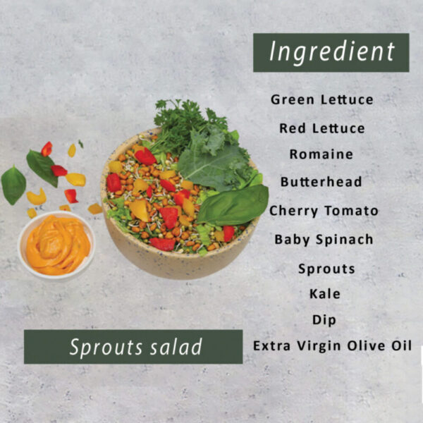 Second image of Sprout Salad-(350gm)