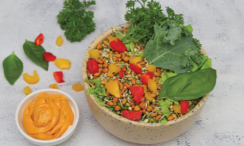 Sprout Salad-(350gm)