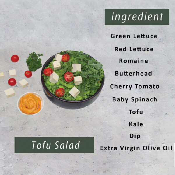 Second image of Tofu Salad-(350gm)