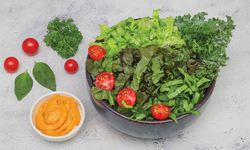 Salad Dips-(350gm)