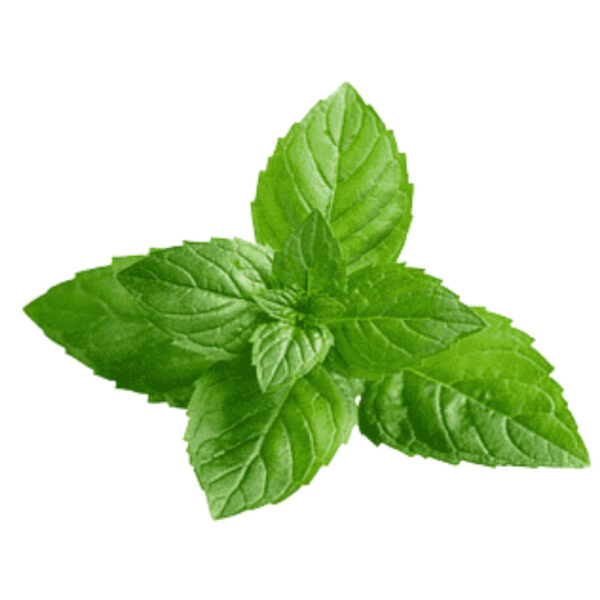 Mint-(100gm)
