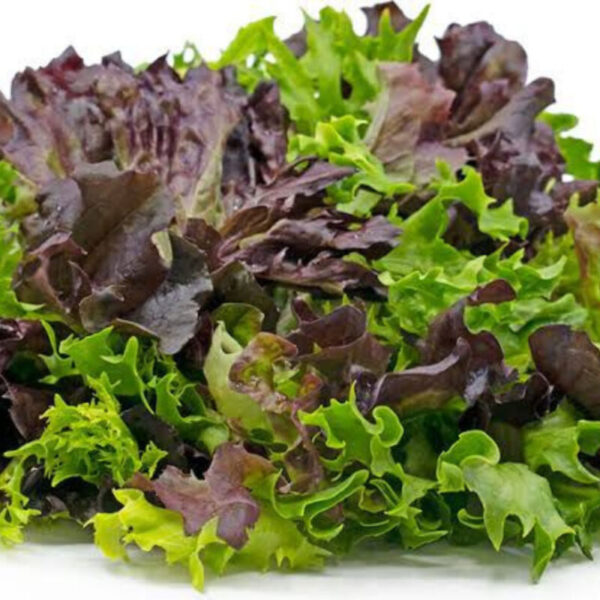 Mixed Lettuce-(100gm)