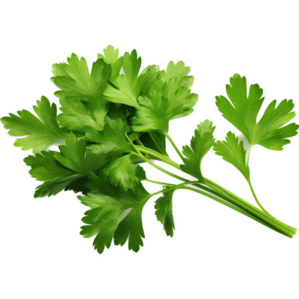 Parsley-(100gm)