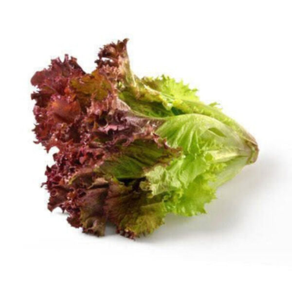Red Lettuce-(100gm)